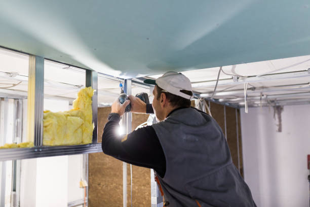 Best Insulation for New Construction  in Harvey, IL